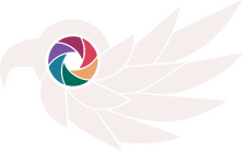 Cooper's Hawk Creations Logo